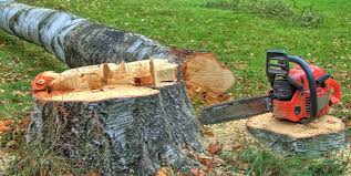 West Jordan, UT Tree Removal Company