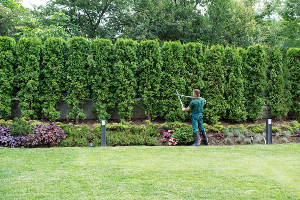 Best Artificial Turf Installation  in West Jordan, UT
